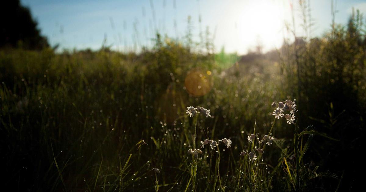 Featured: Why Budget Airlines Actually Cost More: Hidden Fees I Tracked Across 47 Flights