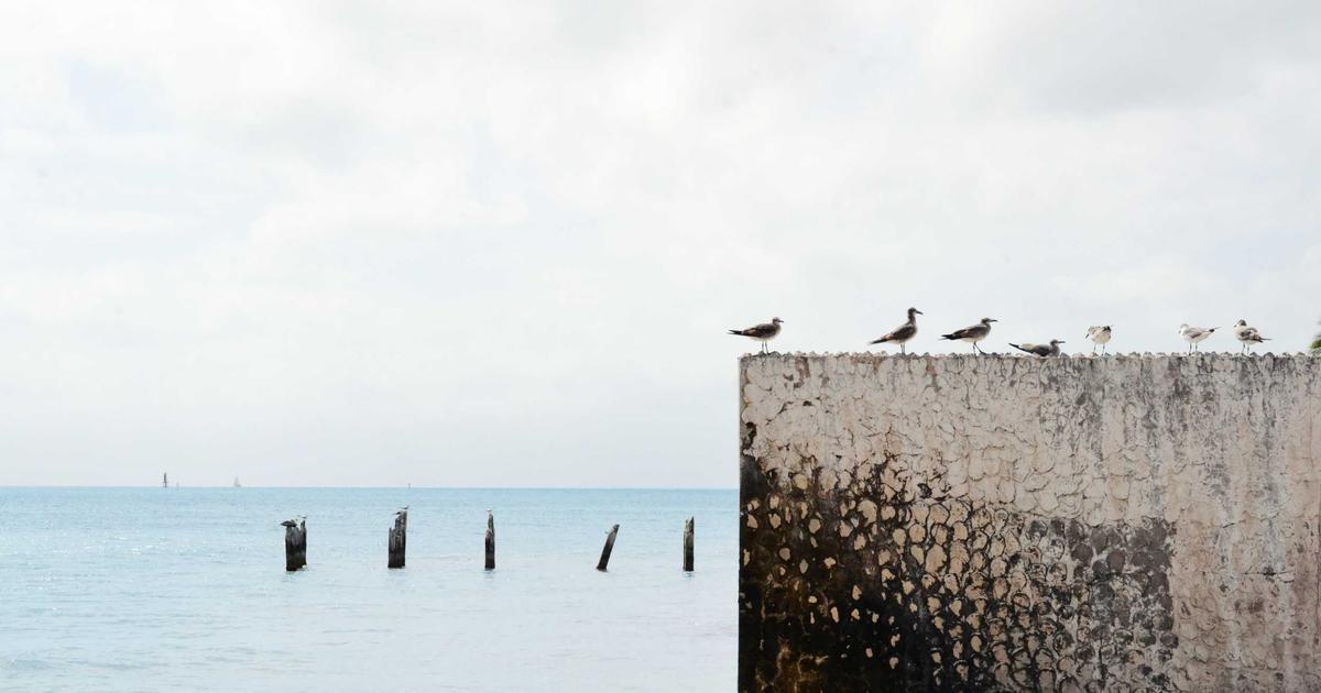 Featured: Travel Insurance Claims That Actually Get Denied: What 347 Rejected Travelers Wish They'd Known