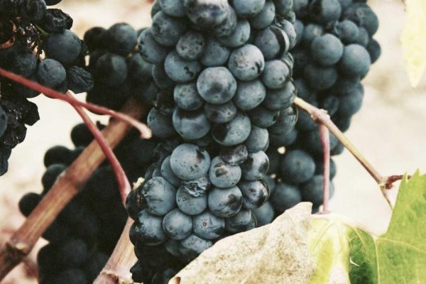 Featured: Visa-Free Countries for US Passport Holders: Where You Can Stay 90+ Days Without Extra Paperwork