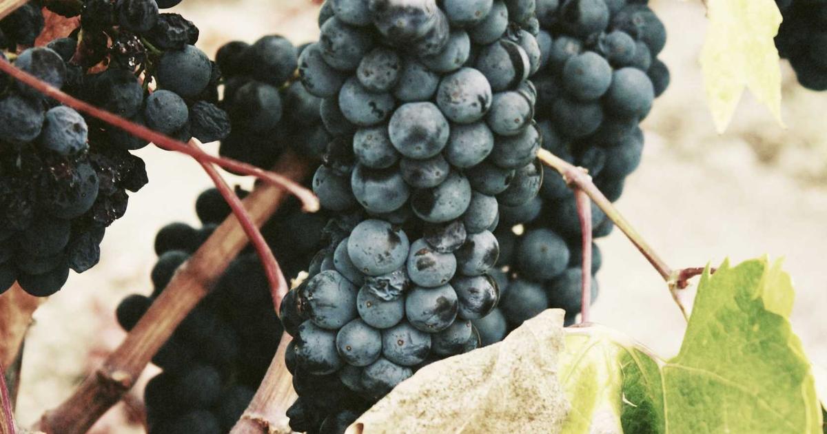 Featured: Visa-Free Countries for US Passport Holders: Where You Can Stay 90+ Days Without Extra Paperwork